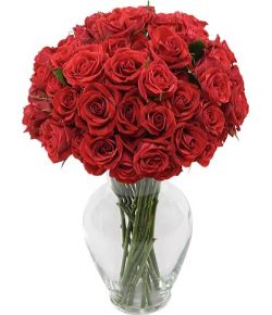 send 36 red roses in glass vase to japan