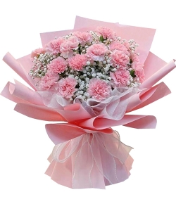 Flower Delivery Japan - 2 Dozen Pink Carnations Bouquet